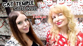 Adeyto \u0026 Mia 🐈 MANEKI NEKO CAT TEMPLE GOTOKUJI Kitty Tokyo 📽️ HUAWEI P20 PRO