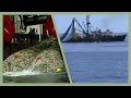 Better Ancestors Presents: Cameras on Boats - Why Wouldn't We | A Greenpeace Aotearoa Film | Ep 38