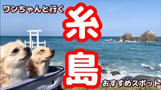 糸島半島のおすすめスポットにワンちゃんと行ってみた！