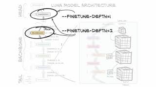 PyTorch深度学习 Deep Learning with PyTorch ch.14, p5 Fine tune 之前的模型做良性/恶性的分类