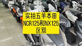 实拍五羊本田NCR125和NX125区别，市场定位不同NCR能否占据销量