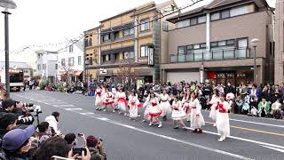 【４K】Twilight★端浪バサラカーニバル2024（バサカニ）/公園通線北会場/2024.12.15/Lumix S5Ⅱ