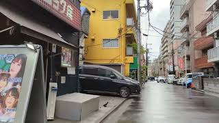 雨上がりの川崎散歩　A walk in Kawasaki after the rain