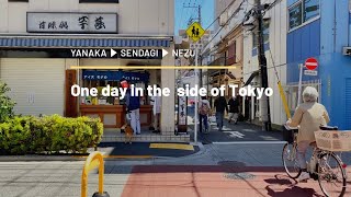 春の谷根千散歩（おにぎりランチ） One day in the side of Tokyo 4/21,2020