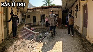 Giúp Cô Bắt Con Rắn Đang Ở Trong Dãy Nhà Trọ | TGSB #1129