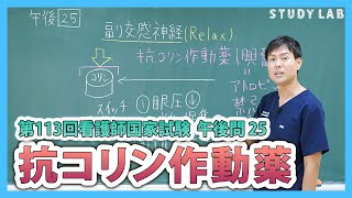 第113回看護師国家試験 必修 午後問25 副交感神経 | STUDYLAB 看護師国家試験対策