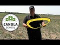 Canola School: Is it a volunteer? Scouting lessons learned from canola emergence