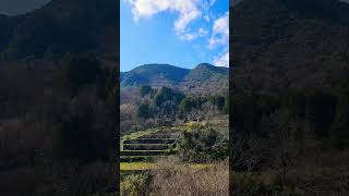 【癒し動画】熊本県山鹿市菊鹿町矢谷　番所の棚田　日本の棚田百選　#村下孝蔵　#shorts　