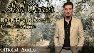 Fratele Abel  //Ești Trandafirul Din Shalom//2025 (Official Audio)