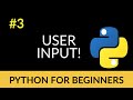 Python Beginner Tutorial #3 - User Input!