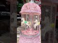 amazing 😻 carousel 🌈 shorts satisfying sounds