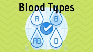 Blood Types in Simple Terms