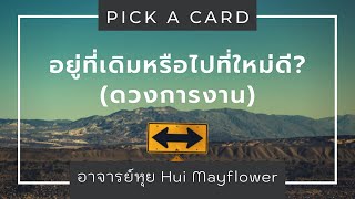 Pick a Card ทำงานที่เก่าหรือไปที่ใหม่ดี? (ดวงการงาน) (Timeless) by อาจารย์หุย Hui Mayflower