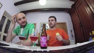 Assaggiamo una birra di HOPT (e confrontiamola con la nostra!)