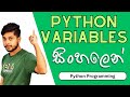 08. Variables ගැන සිංහලෙන් | Python Programming | Sinhala