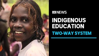 The independent school model held up as the way forward for remote Indigenous education | ABC News