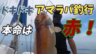 【赤甘鯛釣行】アマラバ