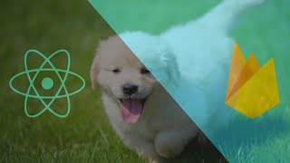 Learn React Hooks and Firebase with Hands On Projects (3 Firebase Authentication Implementation)