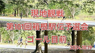 【現地】第101回箱根駅伝予選会:ゴール目前