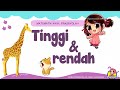 TINGGI DAN RENDAH | MATEMATIK AWAL PRASEKOLAH