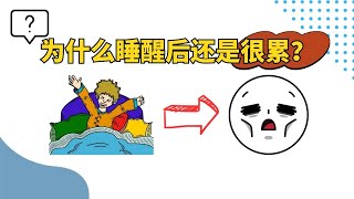 为什么睡醒后还是很累？是因为这七个原因导致的吗？