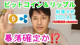 【ビットコイン＆リップル】仮想通貨相場分析　暴落確定か⁉️