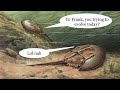 the horseshoe crab