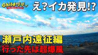 【アオリイカ】ヤス君情報！なんかアオリイカがいるらしい【エギング】