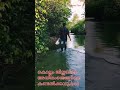 കൊല്ലം ജില്ലയിലെ അയിരംതെങ്ങിലെ കണ്ടൽകാടുകൾ mangrove forest in ayiramthengu kollam