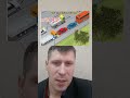 чи дозволено авто пдр тестипдр водіння пдд