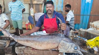 ARA KOLA FISH \u0026 RED SNAPPER FISH CUTTING⚡️ KASIMEDU ⚡️VADACHENNAI MEENAVAN ⚡️