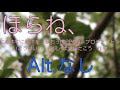 【練習用】合唱曲「ほらね、」混声三部〜alt.なし〜