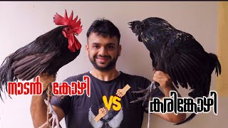 കരിങ്കോഴി vs നാടൻ കോഴി vs ബ്രോയിലർ കോഴി | Best Chicken | Nutrition Facts | Thuglife Mallu Fitness