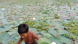 ভূরা গাঁও পদ বিল নদী রে বিডিও