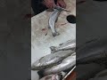 how to remove the salmon bone and fillet it easily fishcuting