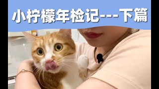 全网体检最乖的小橘猫，严重怀疑自己养了一只假猫 养猫体检vlog