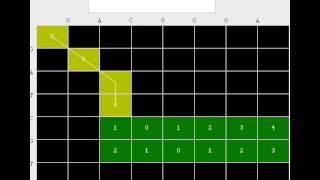 DPA for sequence alignment using Hirschberg's technique