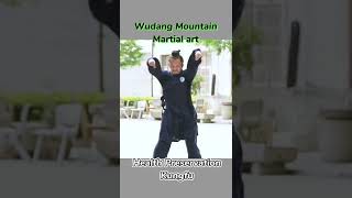 The skill of keeping in good health,Wudang Mountain Kungfu