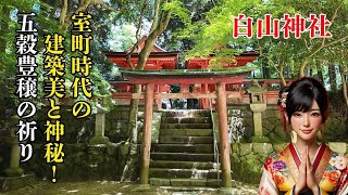 【五穀豊穣と共に運気上昇！】神社めぐり京都！白山神社！おかげ踊りの舞台へようこそ！