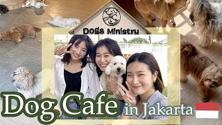 Dog Cafe with Chum 🐾🇮🇩ドックカフェに行ってきた | ジャカルタ｜インドネシア｜海外