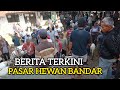 kabar hari ini pasar hewan bandar || Ramban Channel sedang live sekarang!