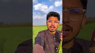 વાડી માં ગાજર વાવ્યા 🫨 | Gujju Ni Vadi | village life | shorts | #gamadu #suratvlog #shortsviral