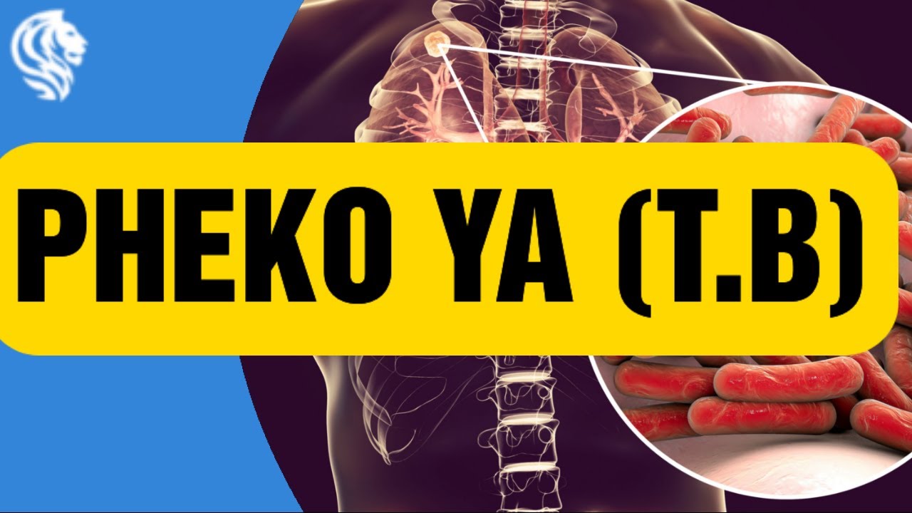 PHEKO YA (T.B): CURE FOR TB - YouTube