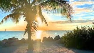 relaxing piano music  relaxing music with ocean waves sleep music