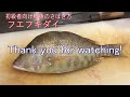 初級者向け鮮魚のさばき方　フエフキダイ