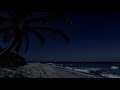 peaceful sleeping under a palm tree on a beach with relaxing ocean waves in dominican republic