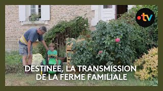 Transmission de la ferme familiale, est-on en train d’assister à la fin d’un modèle français ?