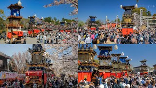 [ 4K ]満開の桜と犬山祭り：ユネスコ無形文化遺産 Inuyama Festival in JAPAN , UNESCO Intangible Cultural Heritage