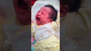 ആരാടാ എന്റെ മുടി പിടിച്ചു വലിക്കുന്നെ!!, baby crying