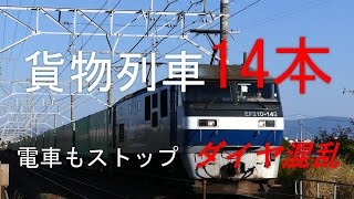 JR貨物 2021/11/20 列車ダイヤ大混乱 遅延含む午前の貨物列車14本 大谷川踏切 東海道本線